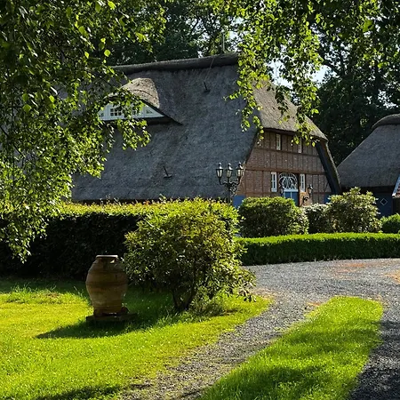 Reet-residenz - Landgut - Und Beachbar 別荘 *